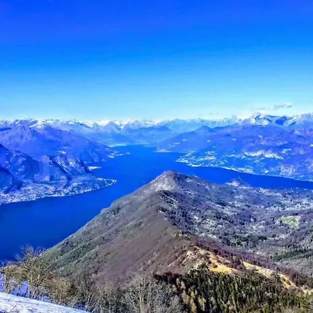 La Coccinella Daire *