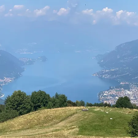 La Coccinella Daire *