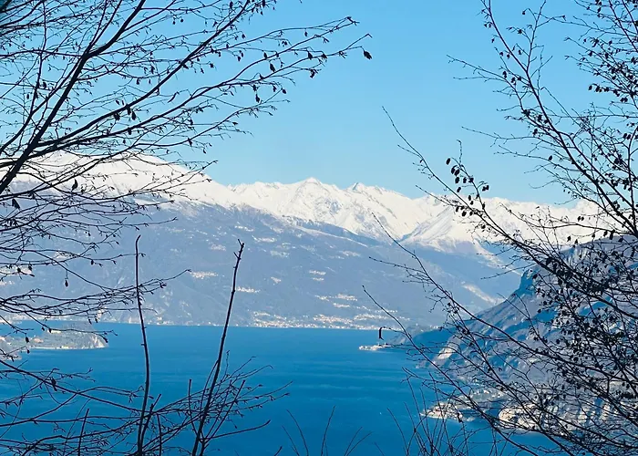 La Coccinella アパート