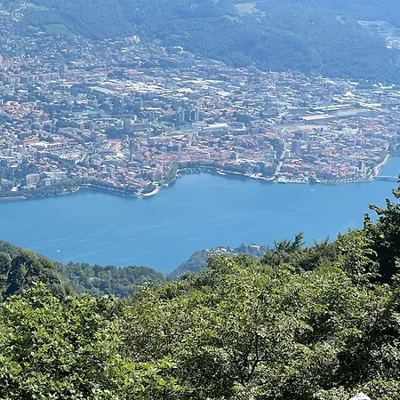 La Coccinella
