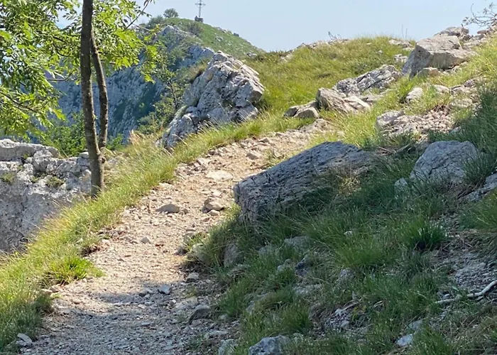 La Coccinella
